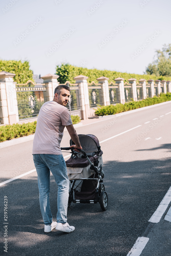back view of father walking with baby carriage in park