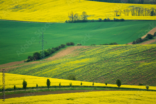 Moravian fields near Sardice, Hodonin, Czech Republic photo