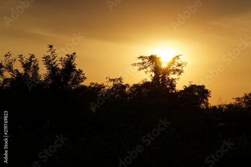 Gorgeous sunrise in Africa, Safari, Ethiopia.