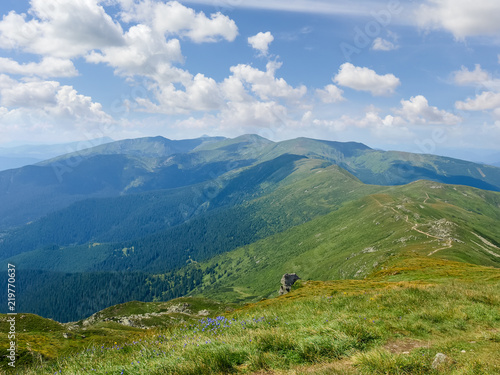 Wallpaper Mural Mountain range Chornohora in the Carpathian Mountains in summer Torontodigital.ca