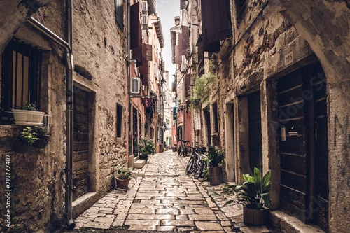 Obraz Mały sojusznik