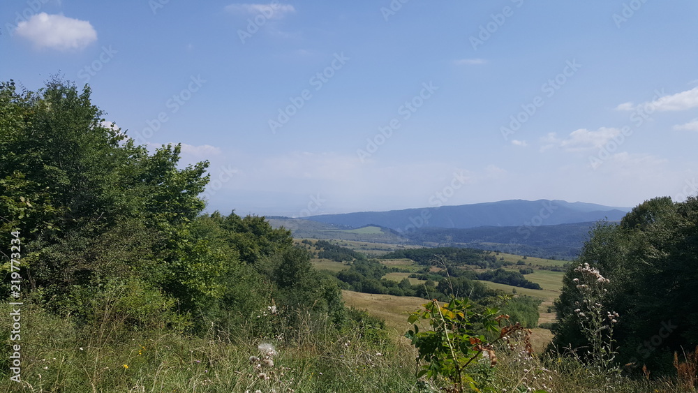 Obraz premium Vitosha mountain