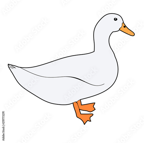  goose, duck on white background