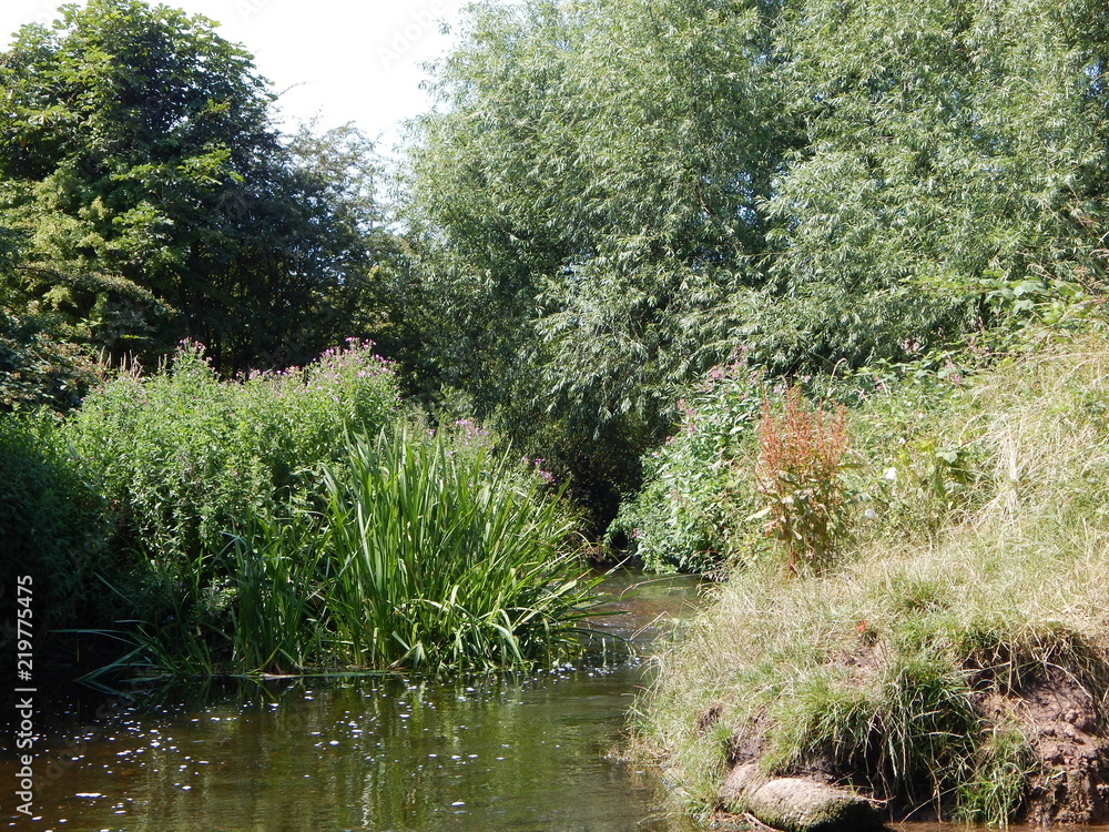 Fototapeta premium Hidden