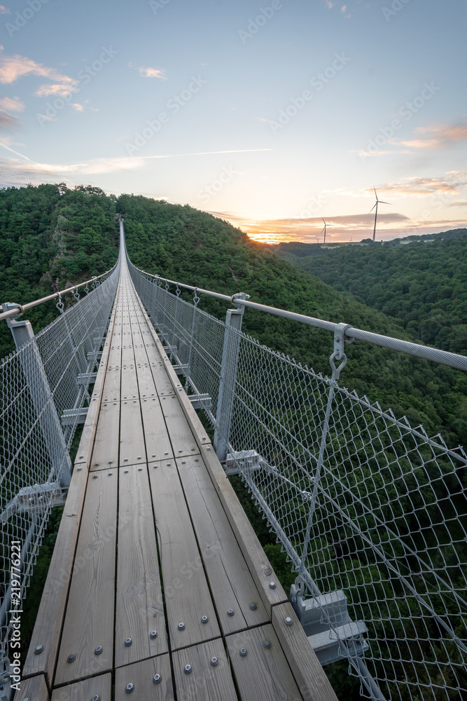 Obraz premium Geierlay, suspension bridge in Germany