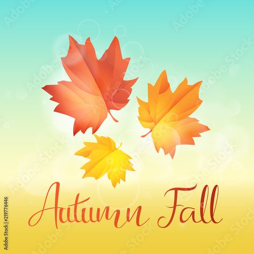 Autumn leaves fall on sky background vector illustration. Hello autumn