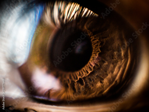 Ojo macro marron