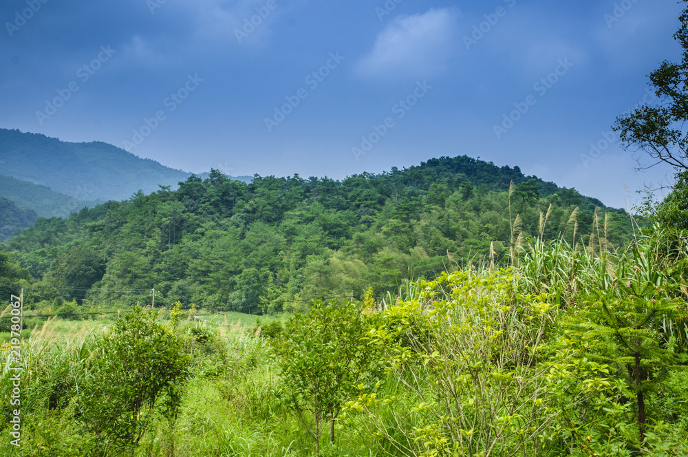 Mountain and forest landscape Mountain and forest landscape