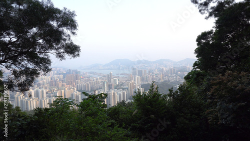 Hong Kong City Skyline Seen From Above With Nature 