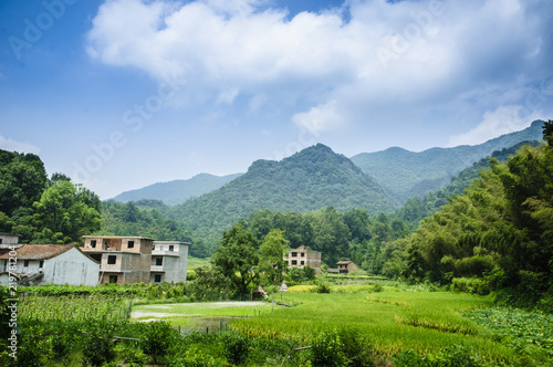 Forest and mountain scenery