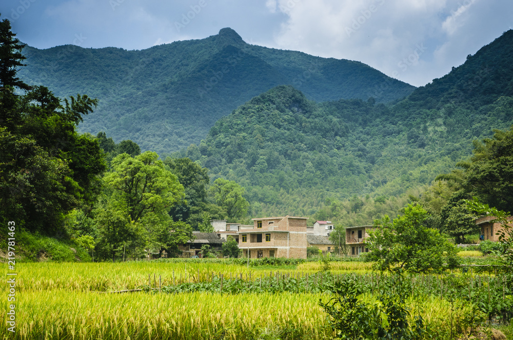 Forest and mountain scenery Forest and mountain scenery