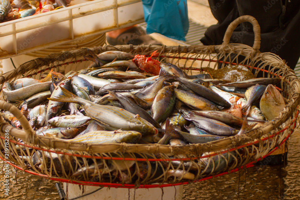 antico mercato del pesce di marsala Stock Photo | Adobe Stock