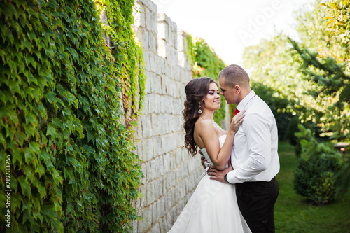 Beautiful young couple. the bride and groom on their wedding day. Are the lengthwise walls
