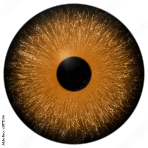 Predator eye texture, orange eyeball white background and black pulpil, colorized 3d eye