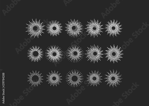 Sparkle lights stars set. Glowing light effect star.