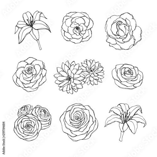 Hand drawn set of rose, lily, peony and chrysanthemum flowers contours isolated on the white background. Vintage floral elements for your design.
