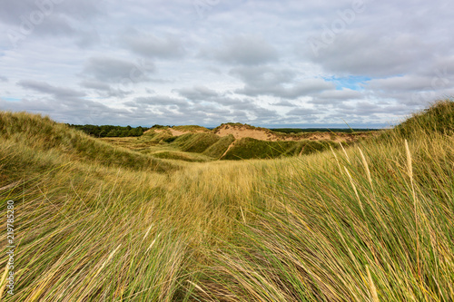 Marram grass at Formby sand dunes, with a cloudy sky overhead