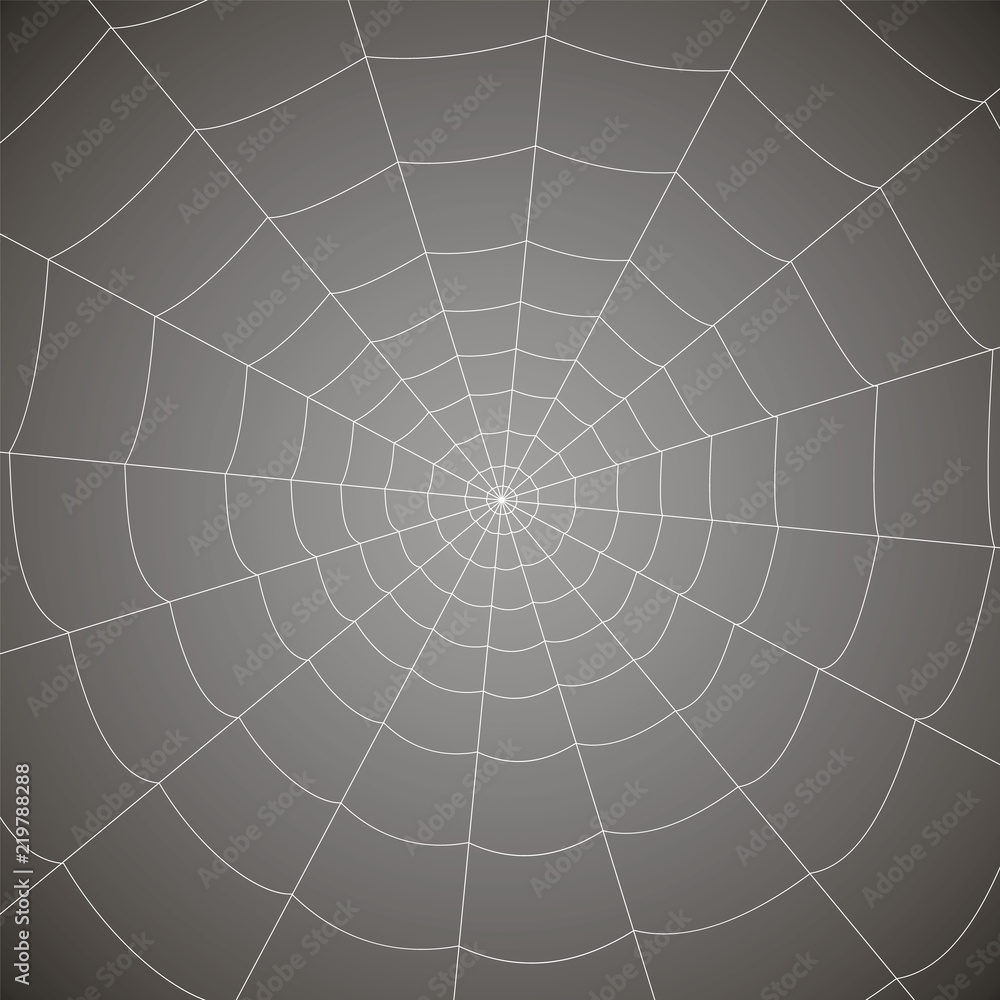 Obraz premium concentric white web on a gray background