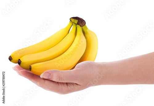 Bunch of bananas on hand