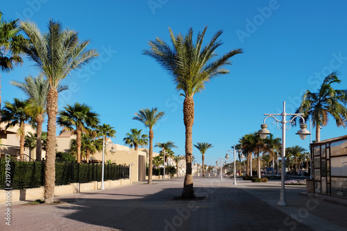 Beautiful view of street with tropical plants at resort © Pixel-Shot