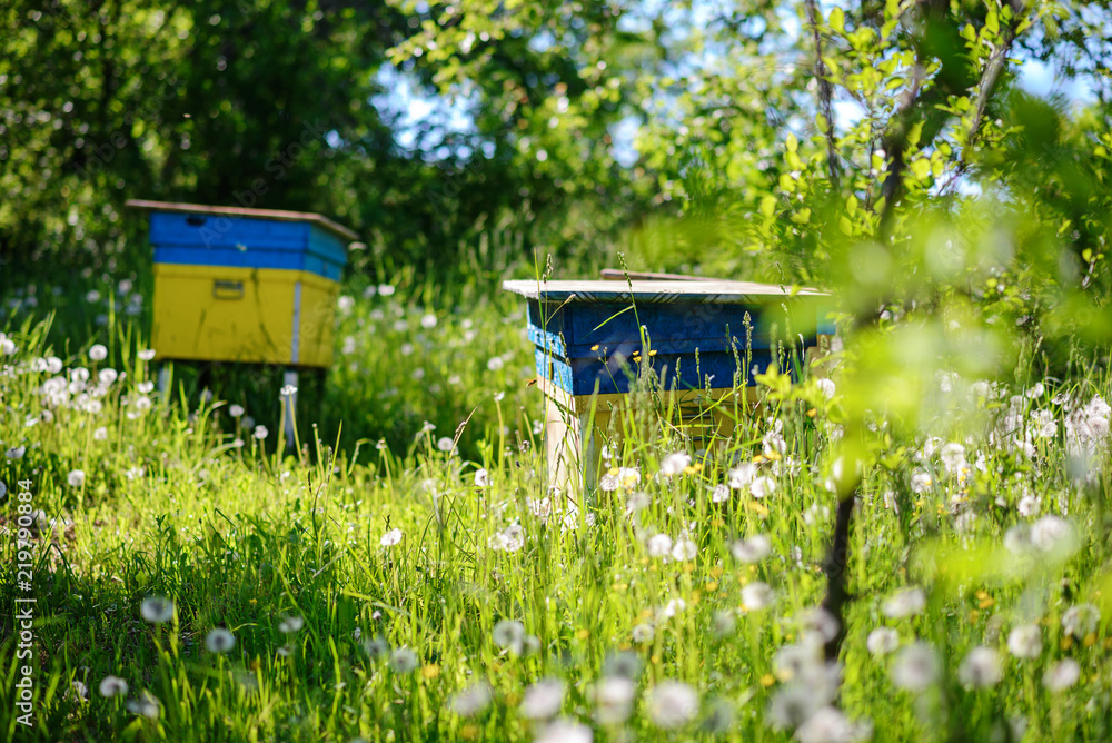 Polish landscape with beehives on ecological field