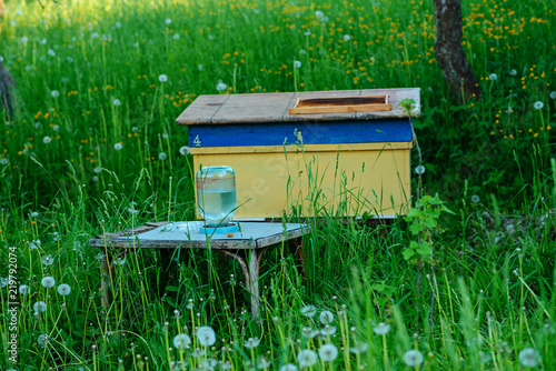 Polish landscape with beehives on ecological field