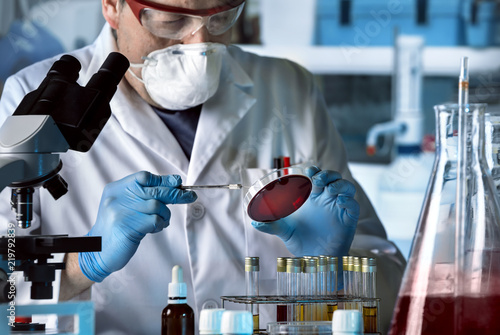 microbiologist working with petri dish in the bacteriological laboratory / microbiologist working with petri dish in the bacteriological laboratory   photo