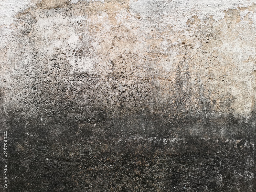 Fototapeta premium dav