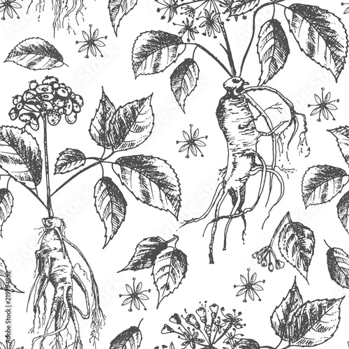 Realistic Botanical ink sketch seamless pattern with ginseng root, flowers and berries isolated on white. floral herbs collection. Traditional chinese medicine plant.