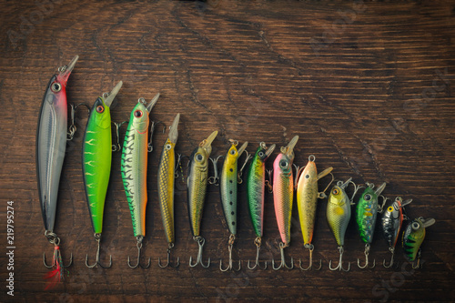 Fishing lures of different lengths laid out in descending order