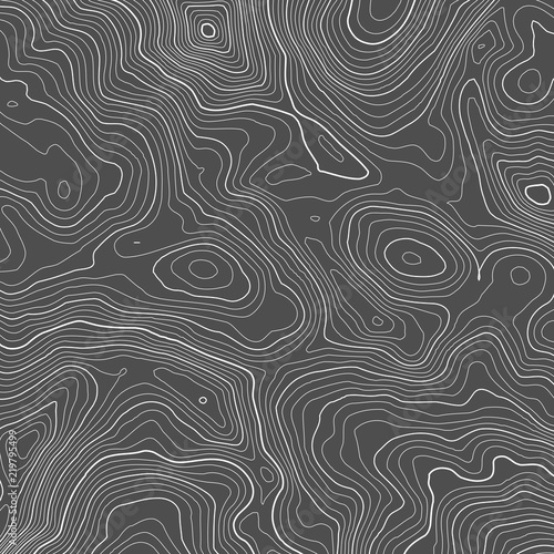 Vector contour topographic map background. Topography and geography map grid abstract backdrop. Business concept. Vector illustration