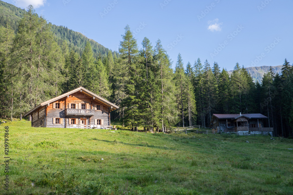 Hölzerne Almhütte, Wiese, Wald und Berge in der Abendsonne