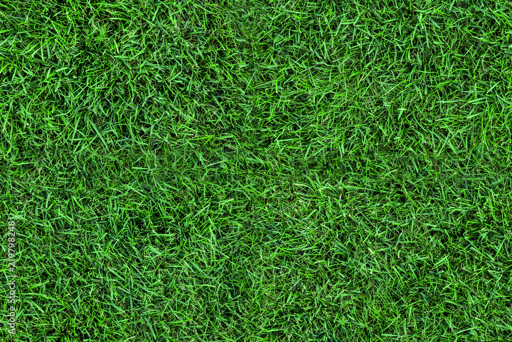 Dark seamless green grass texture background. Fresh lawn field view