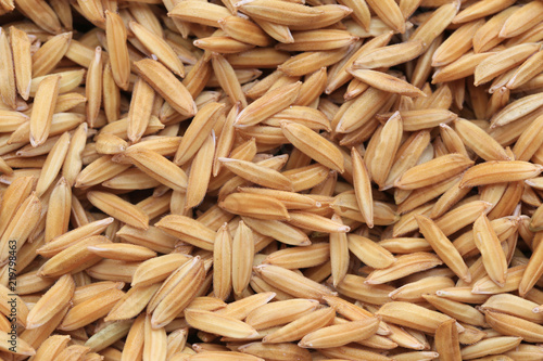 Paddy dried of rice background.