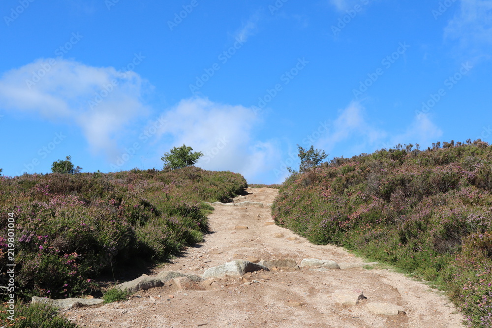 Mountain path Mountain path