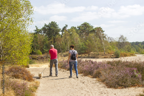 Heathland in National Park Maasduinen in the Netherlands - couple with their dog