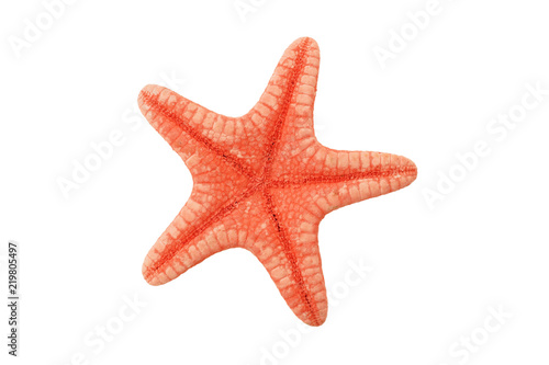 Red starfish isolated on white