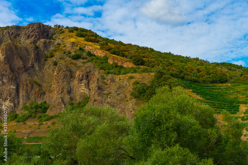 Rotenfels, Berg bei Bad Münster am Stein-Ebernburg, Felsbiotop, Naturschutzgebiet, Rheinland-Pfalz, Deutschland