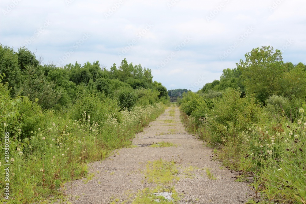 The long empty gravel road in the tall grass field.