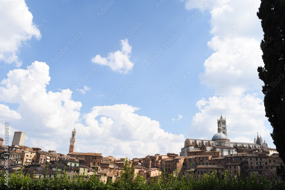 Siena - Veduta con Duomo e Torre del Mangia