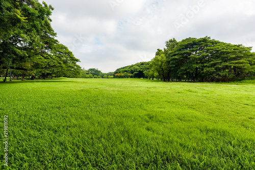 Green grass field in park at city center with business buildings. © yotrakbutda