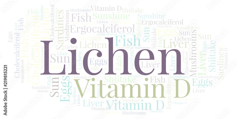 Obraz premium Lichen word cloud.