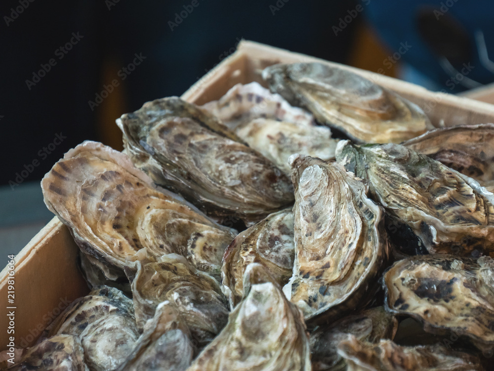 Oysters on the counter in wooden boxes on the market. Oysters for sale at the seafood market. Fish market stall full of fresh shell oysters. Fresh oysters selective focus. Close up shot. Oysters on the counter in wooden boxes on the market. Oysters for sale at the seafood market. Fish market stall full of fresh shell oysters. Fresh oysters selective focus. Close up shot.