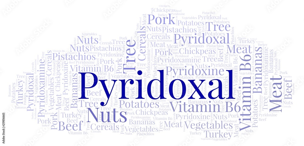 Obraz premium Pyridoxal word cloud.