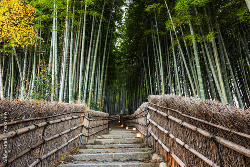 Fototapeta Naklejka Na Ścianę i Meble -  Bambo grove landmark in Arashiyama