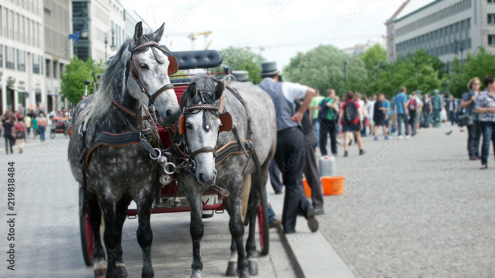 horse coach at Brandenburg Gate (Brandenburger Tor) in Berlin, Germany horse coach at Brandenburg Gate (Brandenburger Tor) in Berlin, Germany
