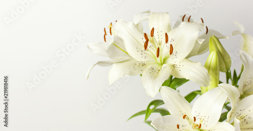 Bouquet of white lilies isolated on a white background. Flowers lily beautiful bouquet white flowers floral background concept holiday congratulation.