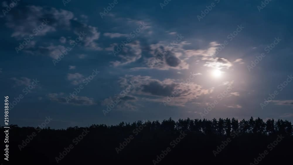 Full moon at night rising over pine tree forest with clouds passing by, time lapse. Full moon at night rising over pine tree forest with clouds passing by, time lapse.