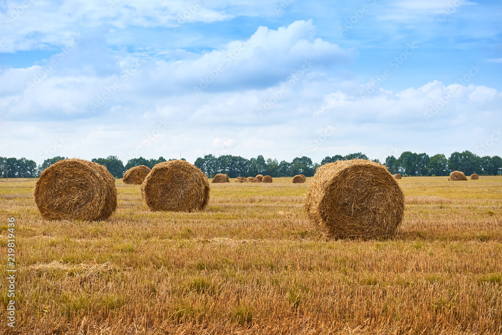 haystacks in summer field, beautiful landscape