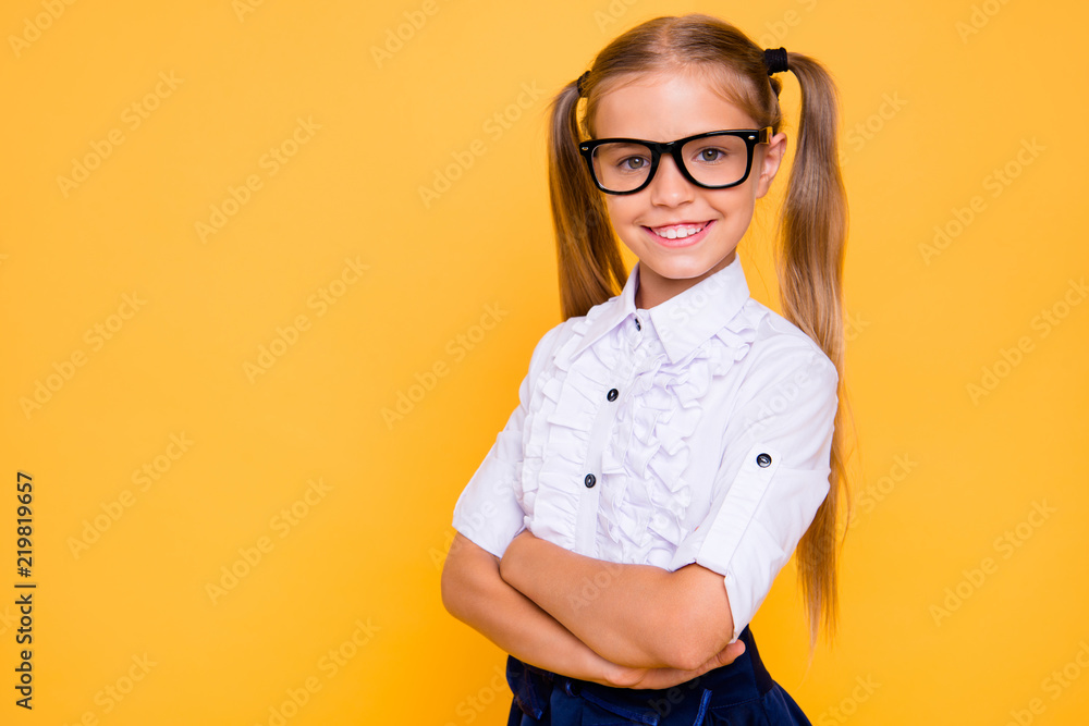 Academic knowledge intellectual people person concept. Close up photo portrait of sweet adorable lovely with two pigtails long hairdo crossed hands girl isolated bright vivid color background